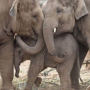 Meet your Posher, Leticia